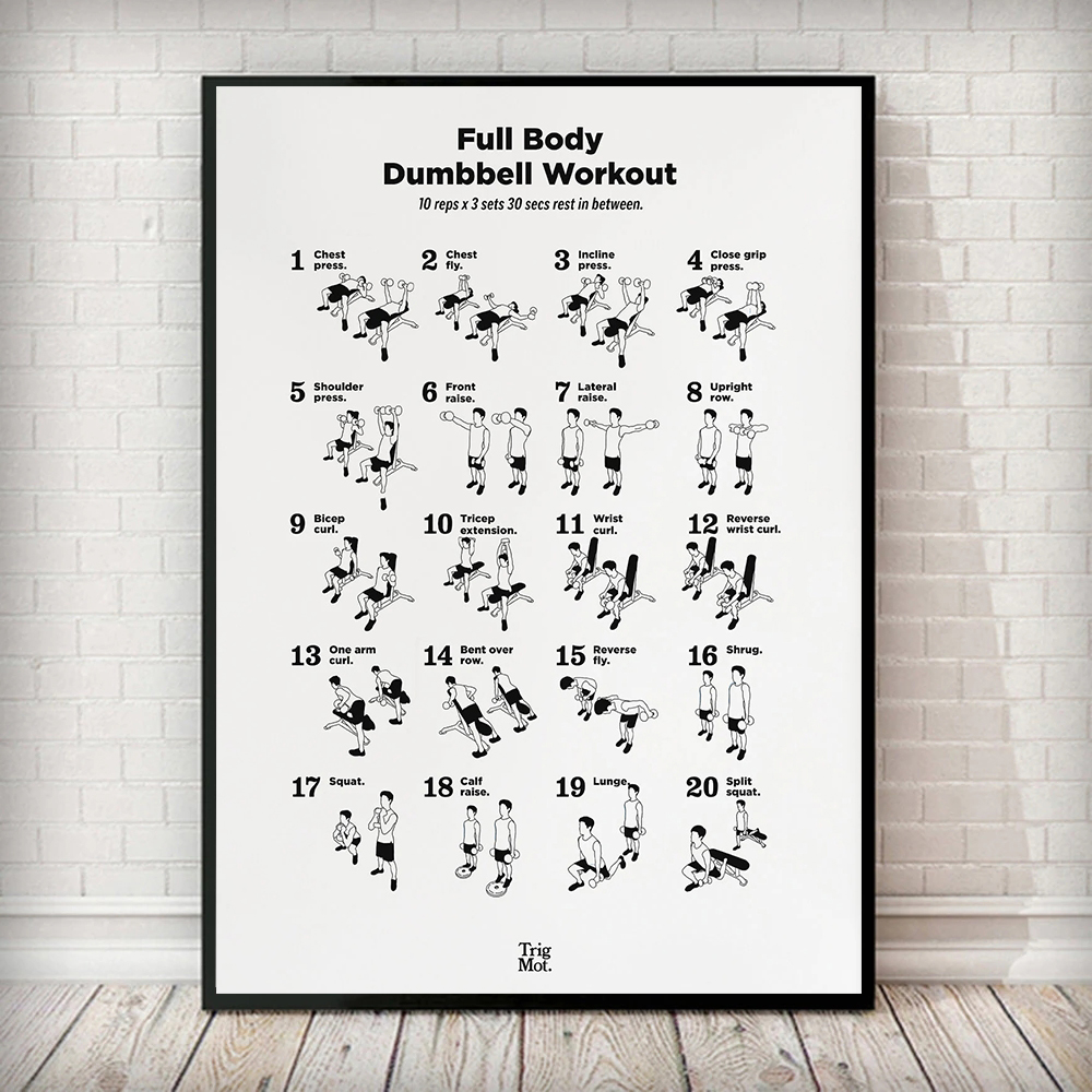 Sports Equipment Poster - Dumbbell Gym Chart Poster Prints Fitness