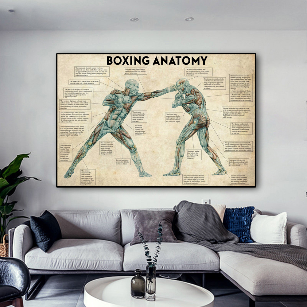 Vintage Boxing Body Anatomy Po - огляд і ціна Sports Equipment Poster