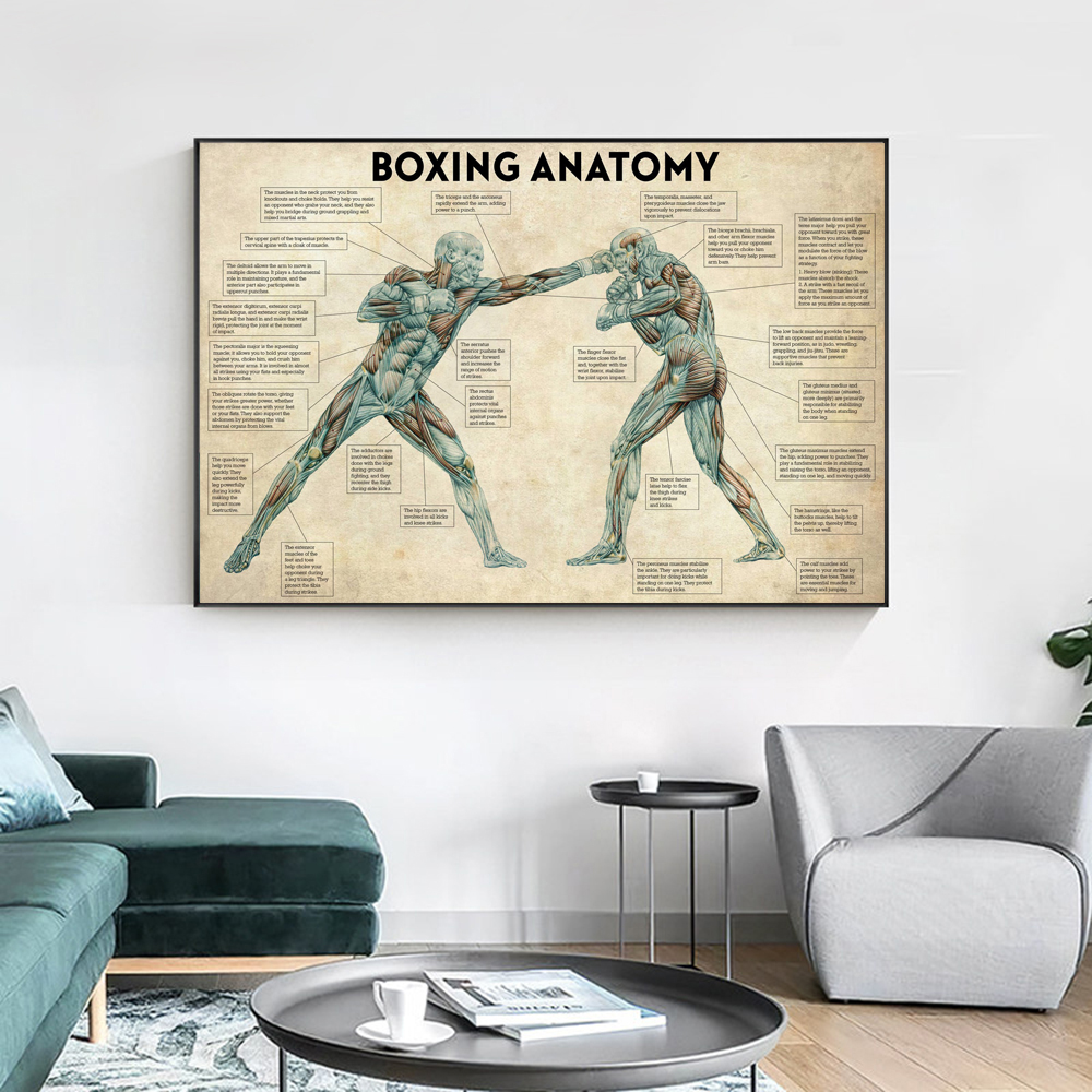 Vintage Boxing Body Anatomy Po - огляд і ціна Sports Equipment Poster
