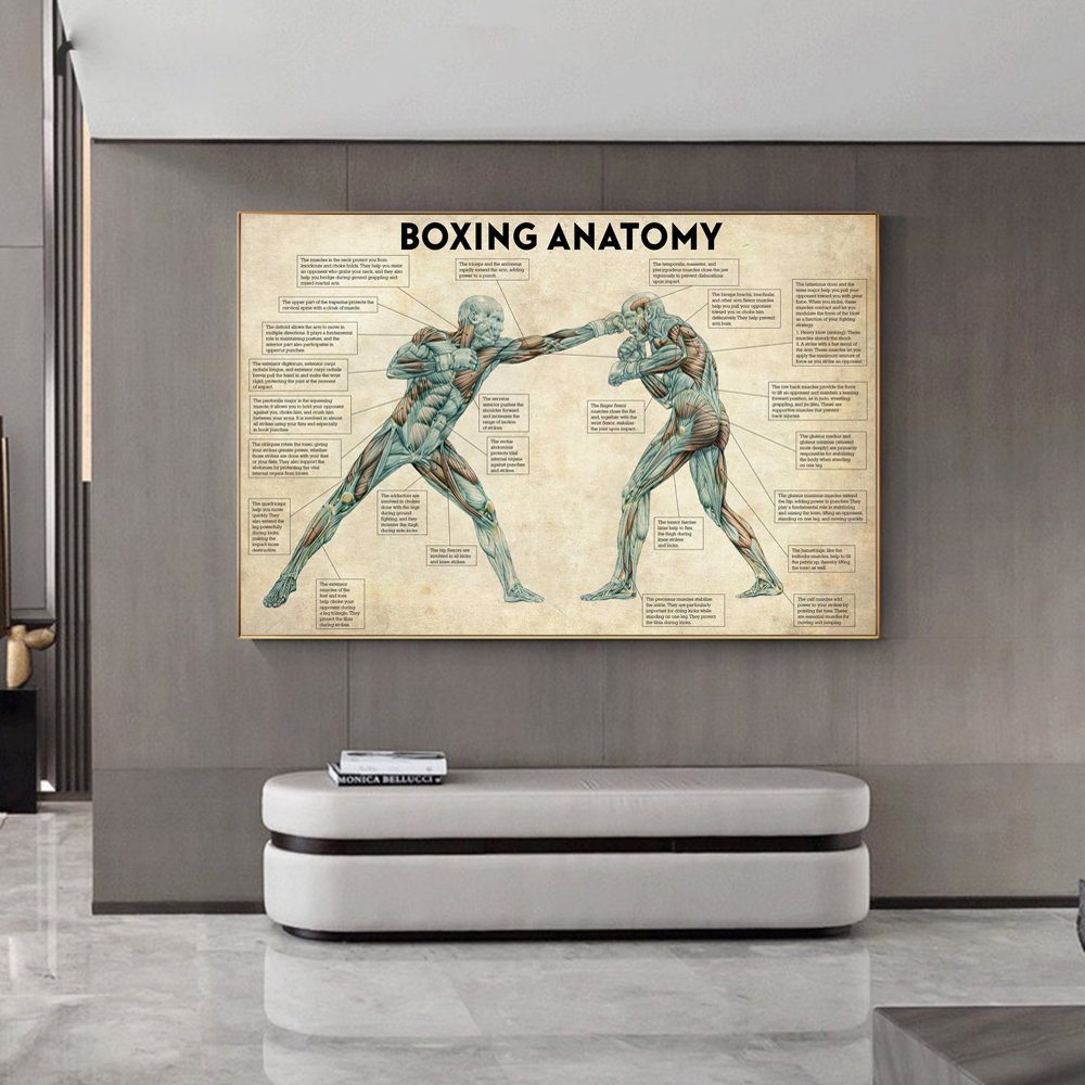 Vintage Boxing Body Anatomy Po - огляд і ціна Sports Equipment Poster