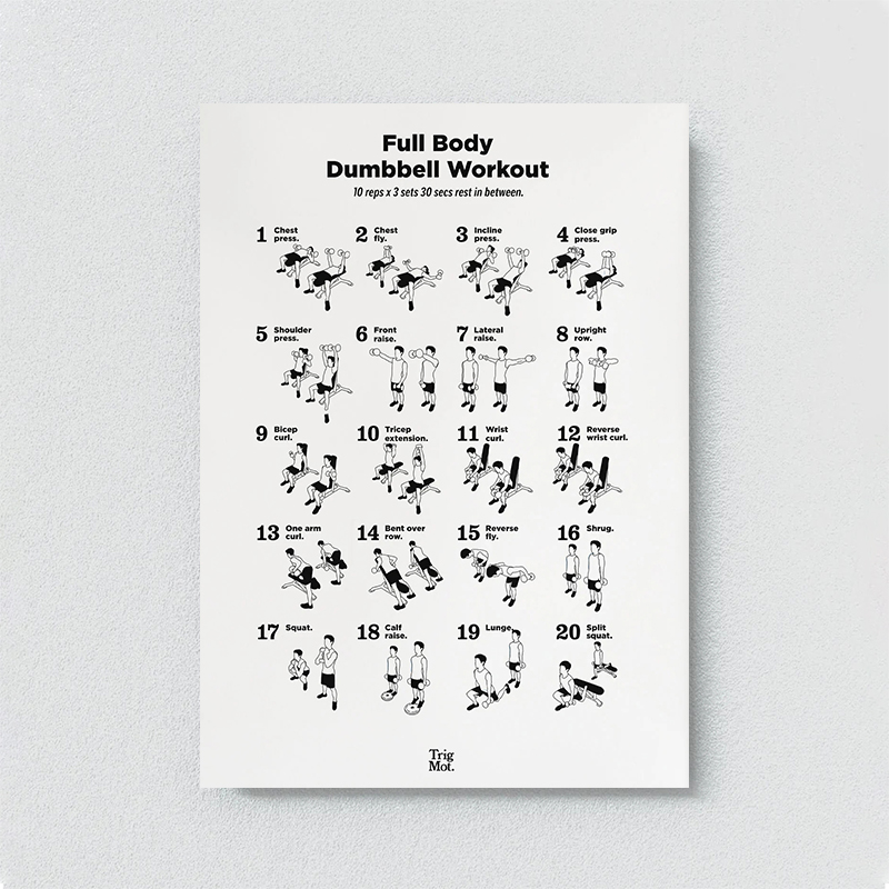 Dumbbell Gym Chart Poster Prin - огляд і ціна Sports Equipment Poster