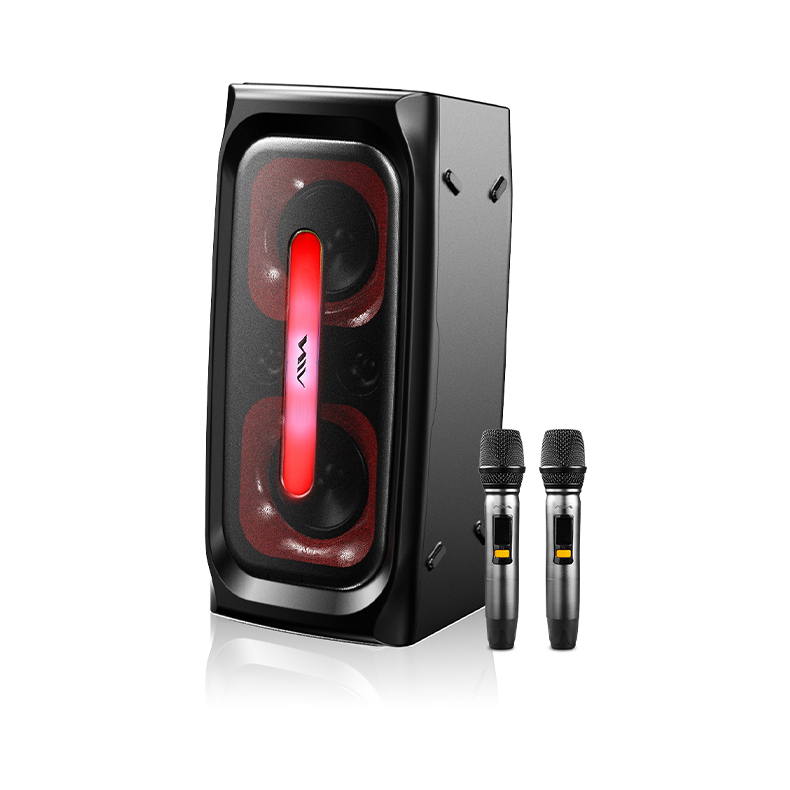 SS-X300DSP PRO High Quality Sp - огляд і ціна Sports Equipment Japan
