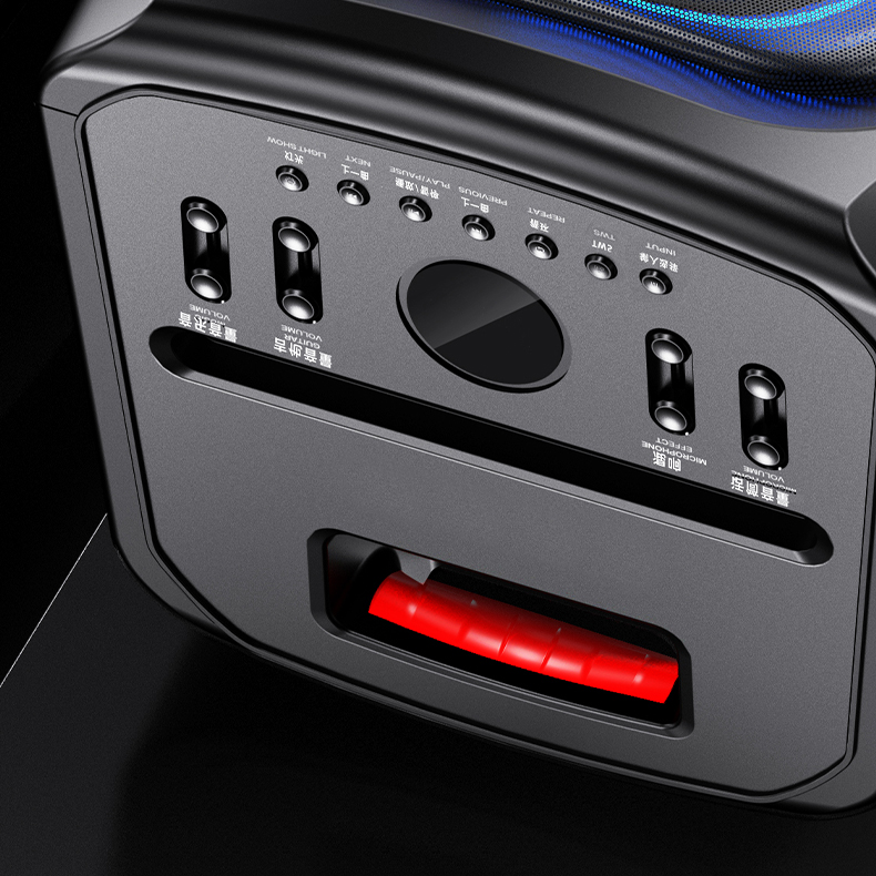 SS-X300DSP PRO High Quality Sp - огляд і ціна Sports Equipment Japan